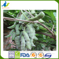 Factory price a natural brain supplement Mucuna Pruriens Extract